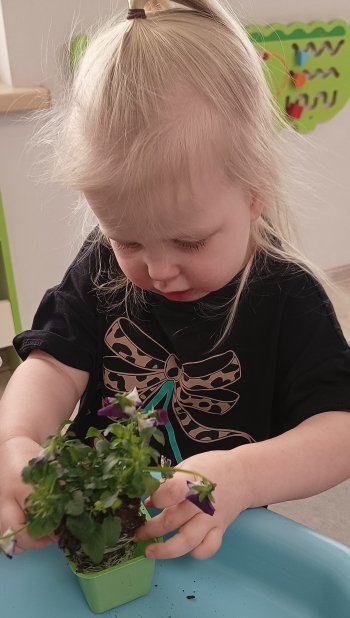 IMG_20260313_102445139~2