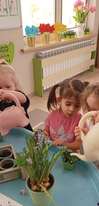 IMG_20260313_102736381~2