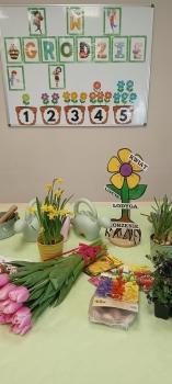 IMG_20260311_095749036