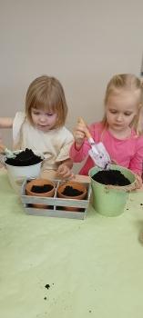 IMG_20260311_100410939