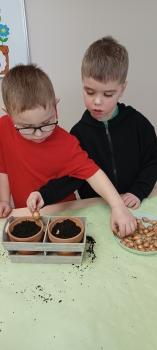 IMG_20260311_100607453