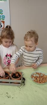 IMG_20260311_100635315