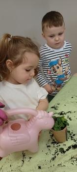 IMG_20260311_102134403