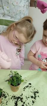 IMG_20260311_102253964