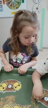 IMG_20260324_114740739