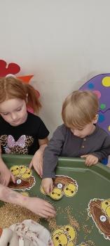 IMG_20260324_114805542