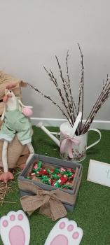 IMG_20260324_120203020