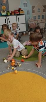 IMG_20260928_125238913