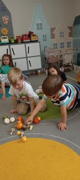 IMG_20260928_125243086